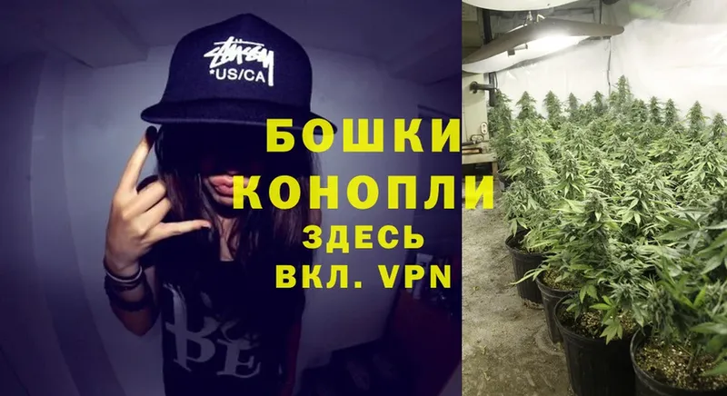 Марихуана OG Kush  Красноуфимск 